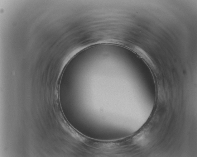 X0000062841292200601201628