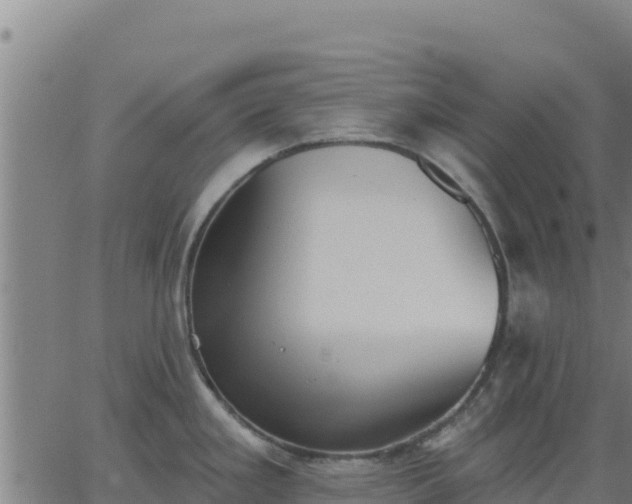 X0000062841293200601201628