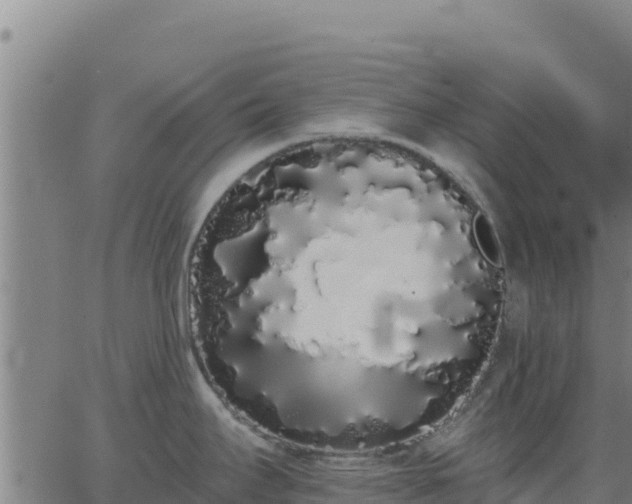 X0000062841295200601201628