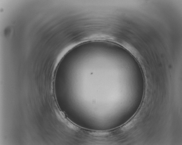 X0000062841296200601201628