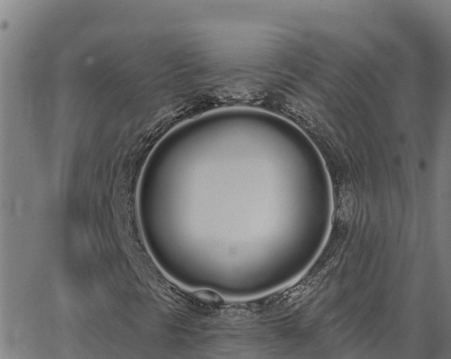 X0000062841297200601201628