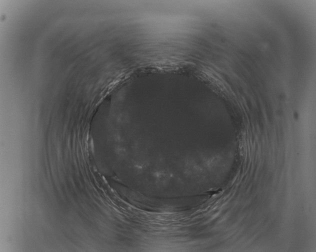 X0000062841298200601201628