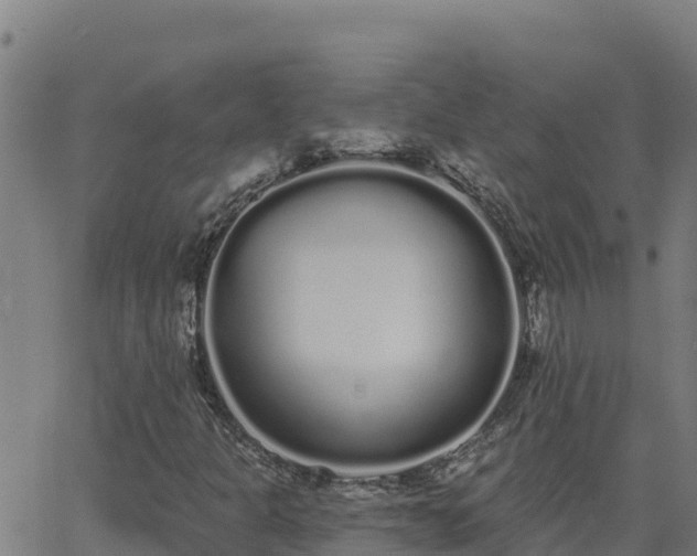 X0000062841301200601201628