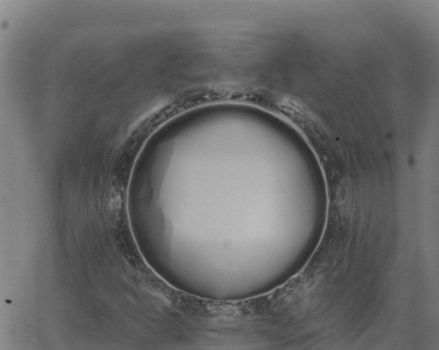 X0000062841302200601201628