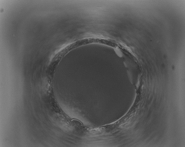 X0000062841303200601201628