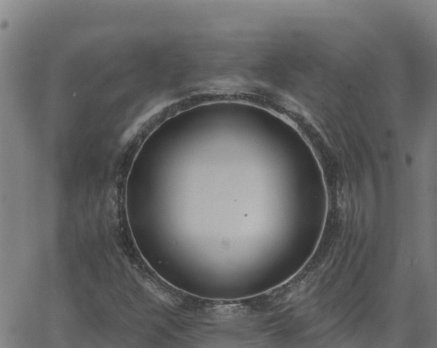 X0000062841304200601201628