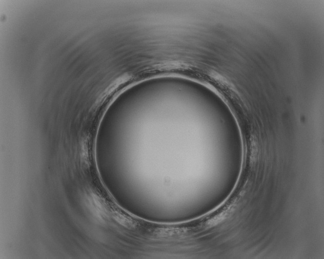 X0000062841305200601201628