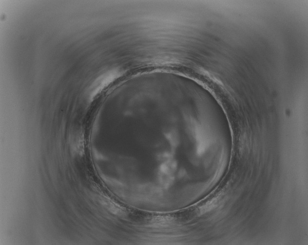 X0000062841306200601201628