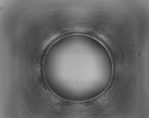 X0000062841307200601201628