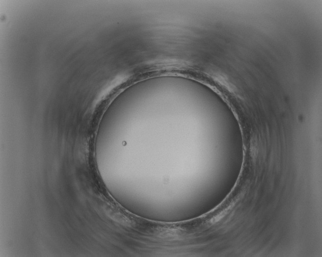 X0000062841309200601201628