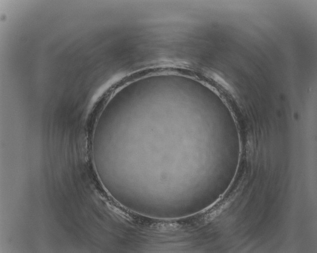 X0000062841310200601201628