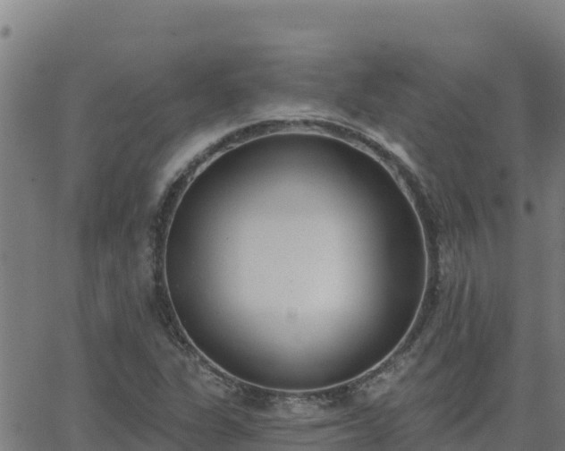 X0000062841311200601201628