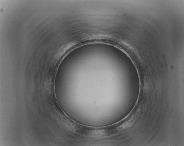 X0000062841313200601201628