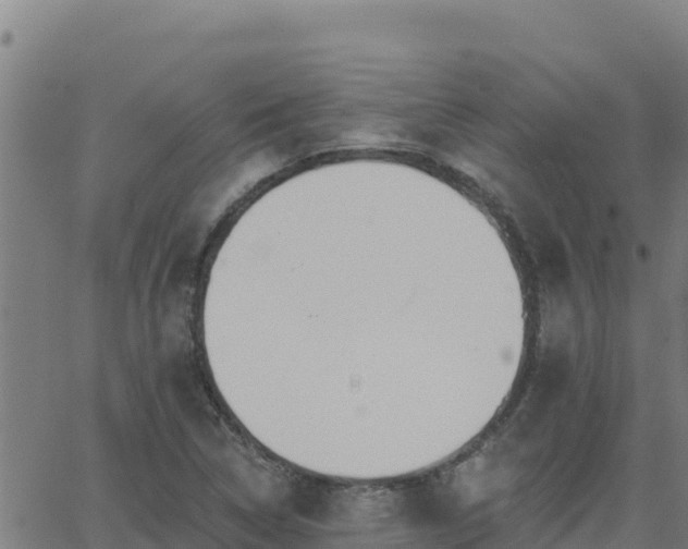 X0000062841314200601201628