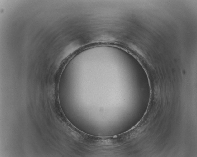 X0000062841315200601201628