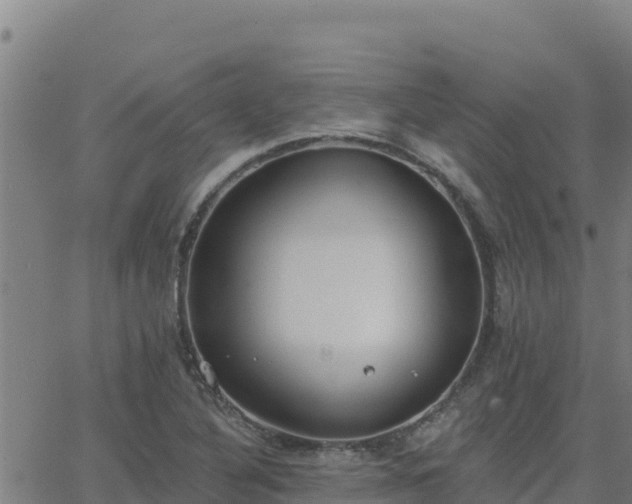 X0000062841316200601201628