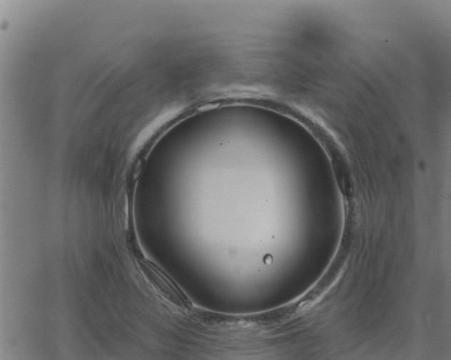 X0000062841317200601201628