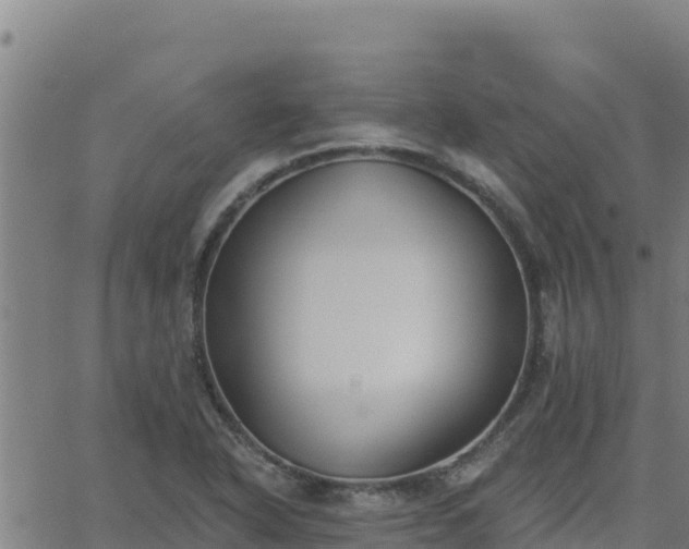 X0000062841318200601201628