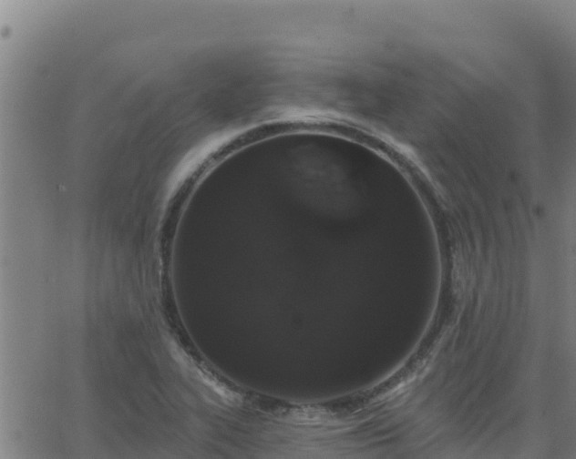 X0000062841319200601201628