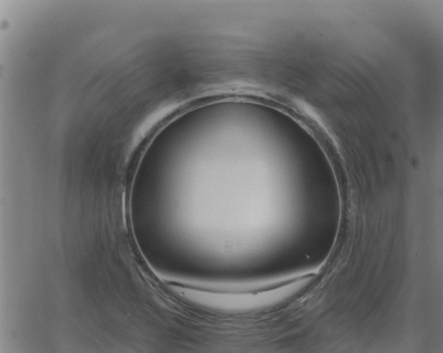 X0000062841320200601201628