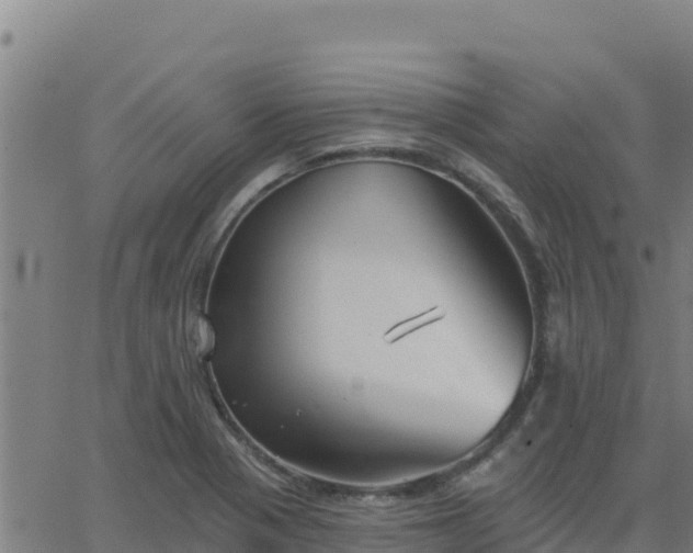 X0000062841321200601201628