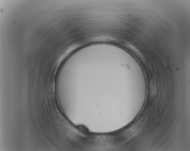 X0000062841322200601201628