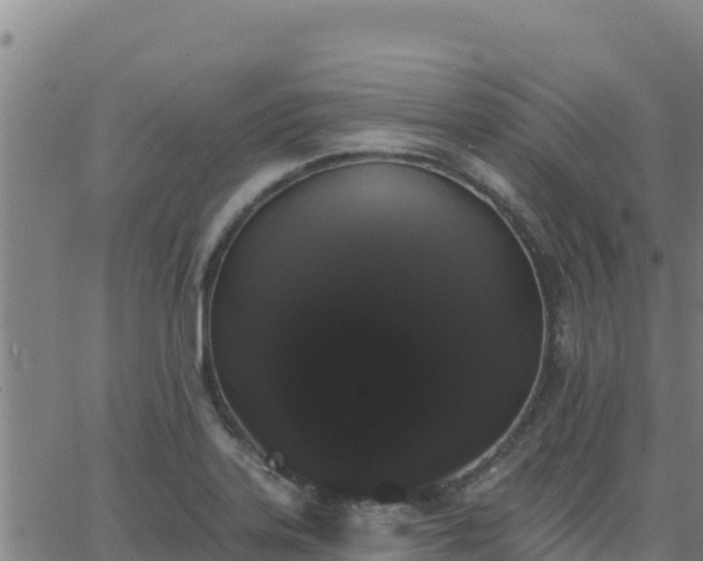 X0000062841323200601201628