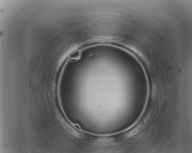 X0000062841325200601201628