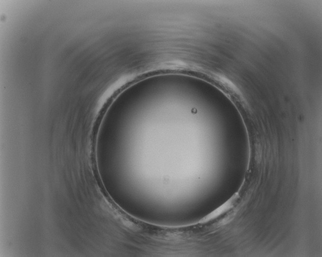 X0000062841326200601201628