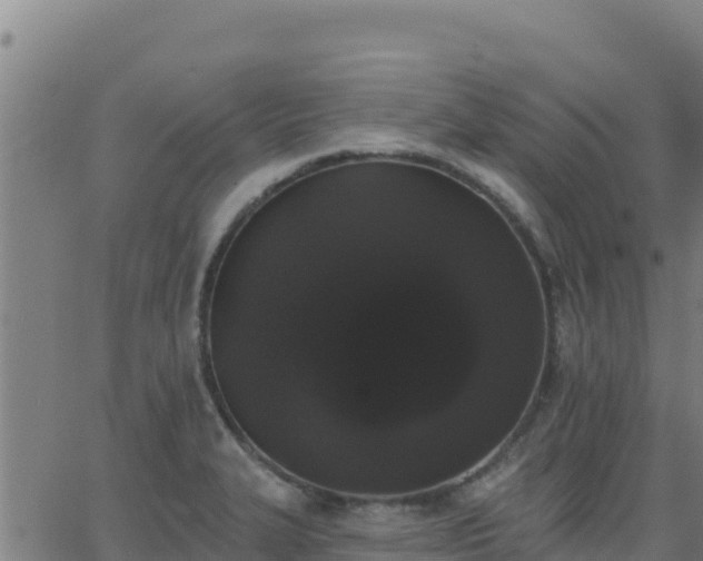 X0000062841327200601201628