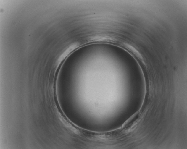 X0000062841330200601201628