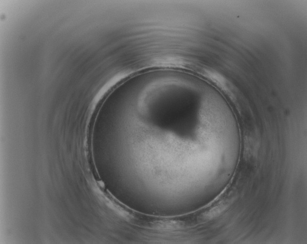 X0000062841331200601201628