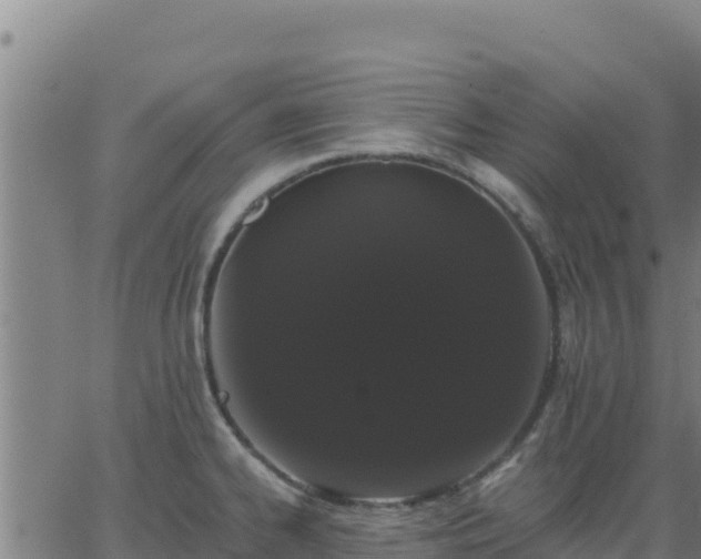 X0000062841334200601201628