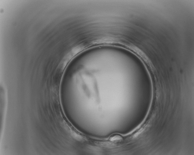 X0000062841337200601201628