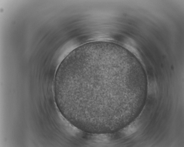 X0000062841338200601201628