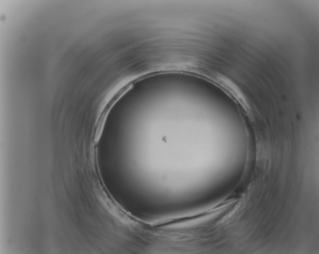 X0000062841340200601201628