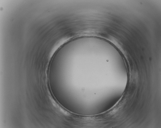 X0000062841341200601201628