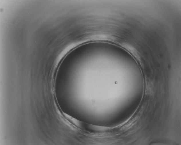 X0000062841342200601201628