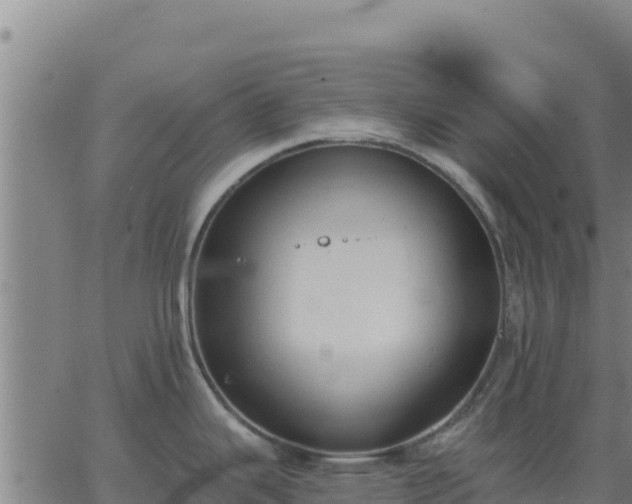 X0000062841343200601201628