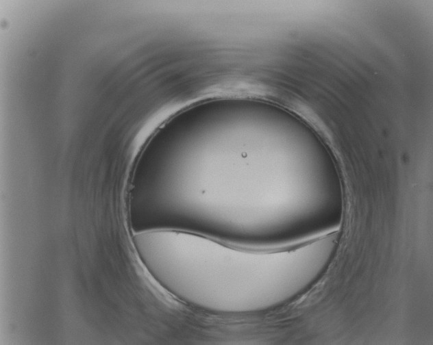 X0000062841344200601201628