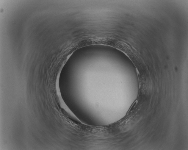 X0000062841345200601201627