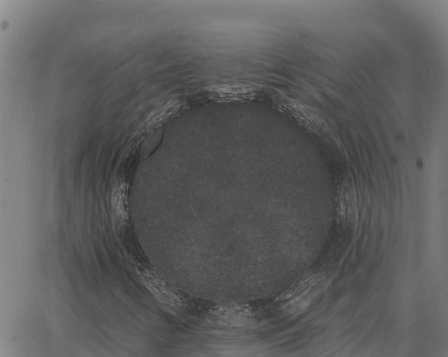 X0000062841346200601201627