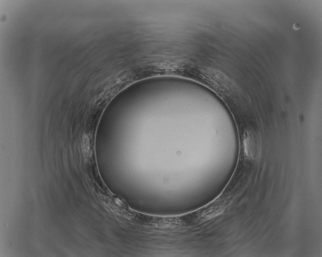 X0000062841347200601201627