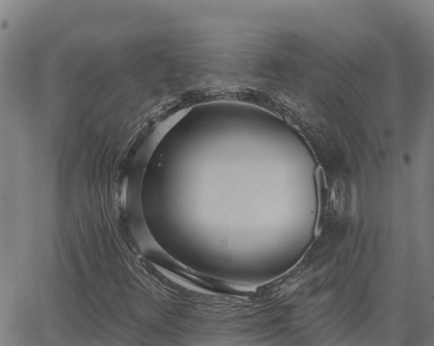 X0000062841348200601201627