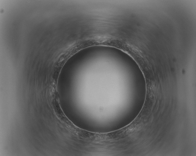 X0000062841349200601201627