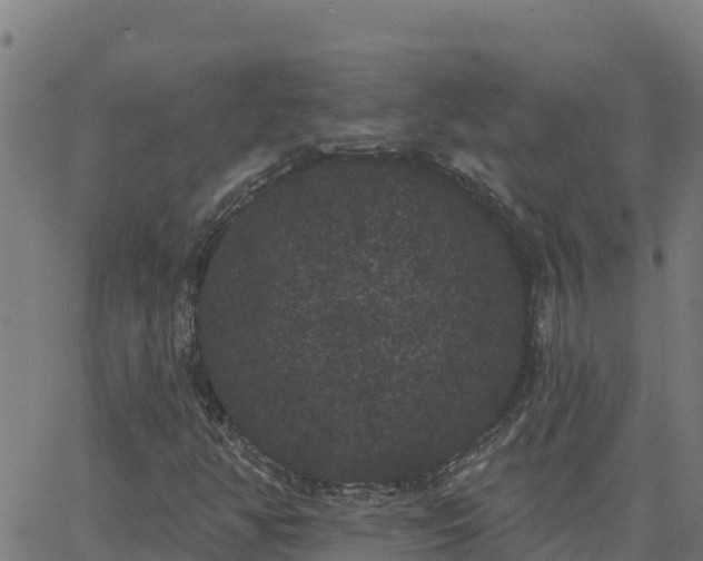 X0000062841350200601201627