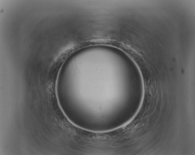 X0000062841351200601201627