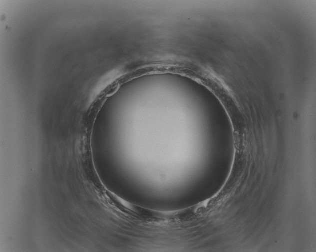 X0000062841352200601201627