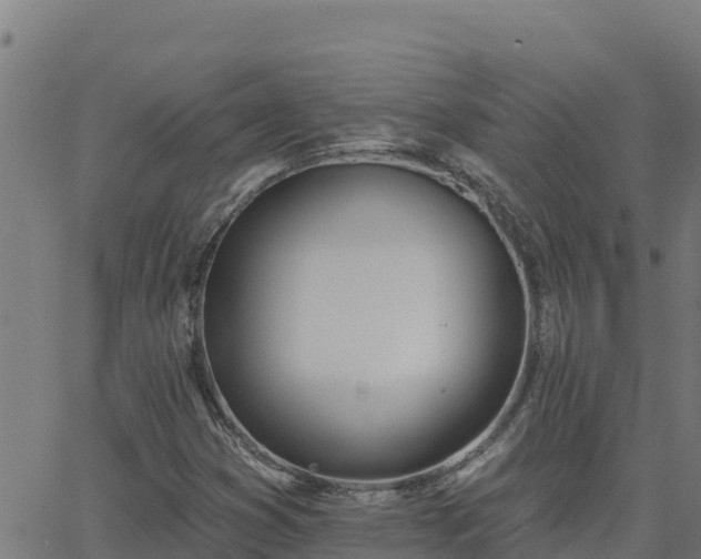 X0000062841353200601201627