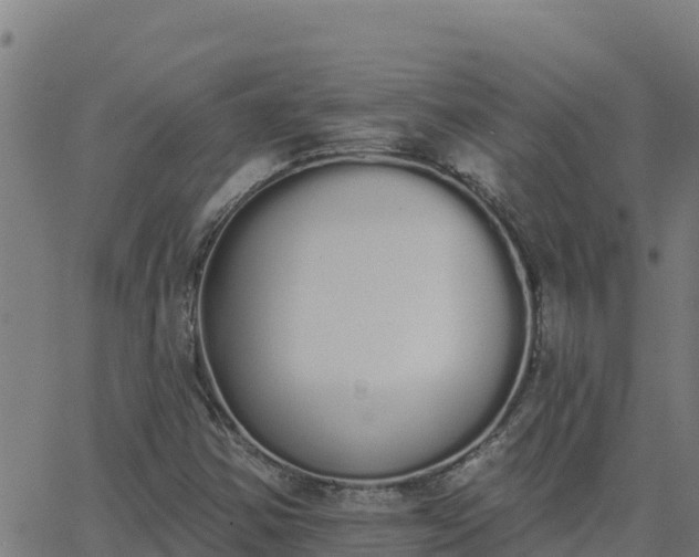 X0000062841354200601201627